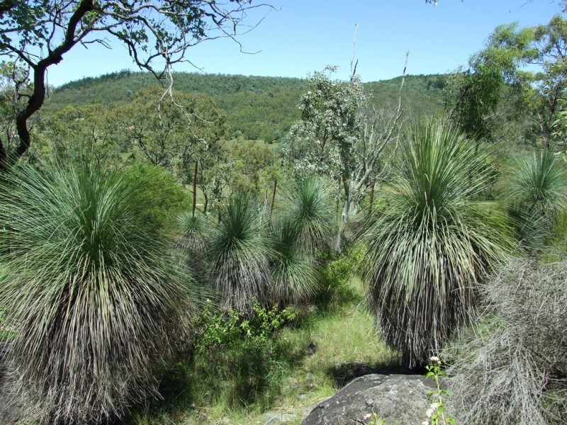 L1 Emu Creek Road, Emu Creek QLD 4355