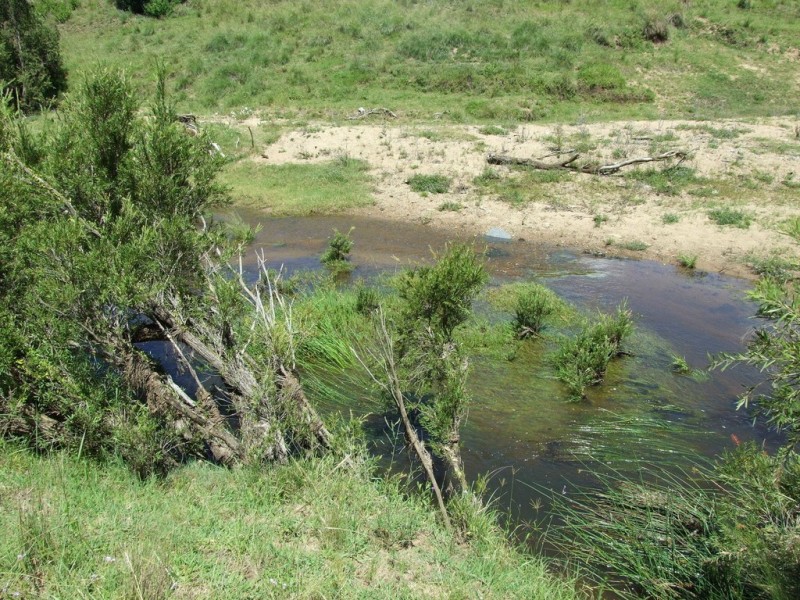 L4 Pierce Creek Road, Emu Creek QLD 4355