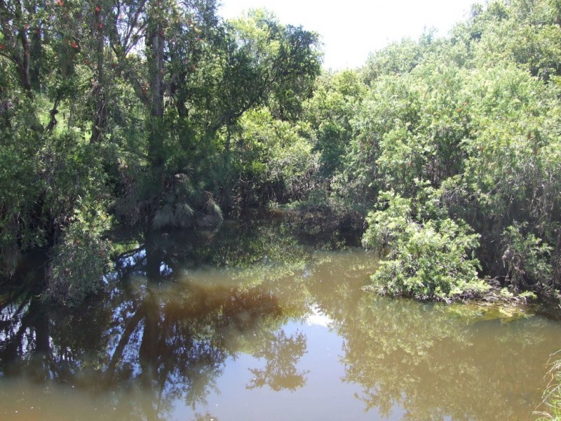 L4 Pierce Creek Road, Emu Creek QLD 4355