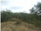L204 Dahl Road, Crows Nest QLD 4355