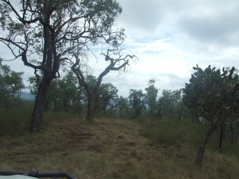 L204 Dahl Road, Crows Nest QLD 4355