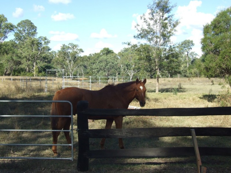 19 Schick Road, Thornville QLD 4352
