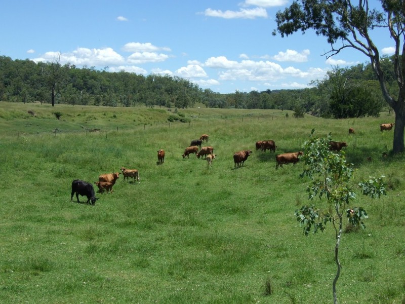 1072 Emu Creek Road, Emu Creek QLD 4355
