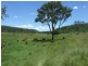 1072 Emu Creek Road, Emu Creek QLD 4355