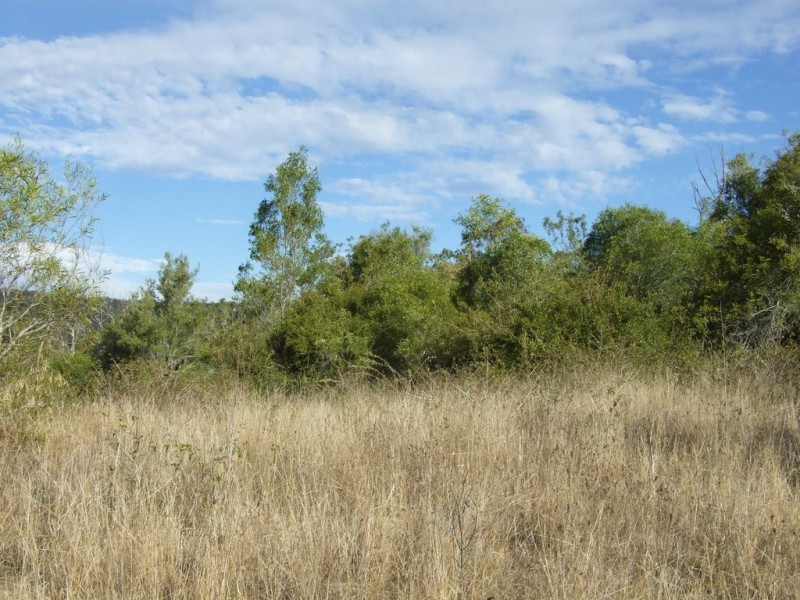 L292 Schick Road, Thornville QLD 4352