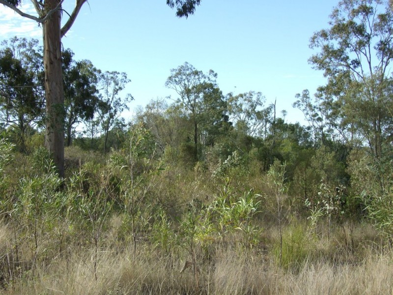L292 Schick Road, Thornville QLD 4352