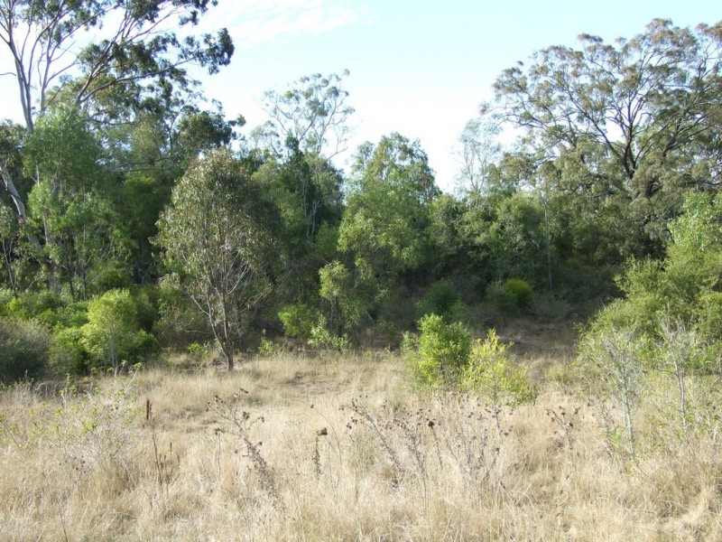 L292 Schick Road, Thornville QLD 4352