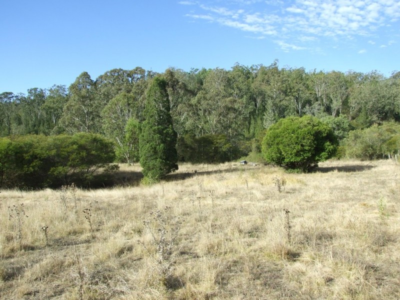 L292 Schick Road, Thornville QLD 4352