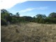 L292 Schick Road, Thornville QLD 4352