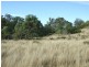 L292 Schick Road, Thornville QLD 4352