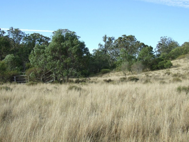 L292 Schick Road, Thornville QLD 4352