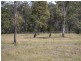 25/Lot 32 Muscat Circuit, Morayfield QLD 4506