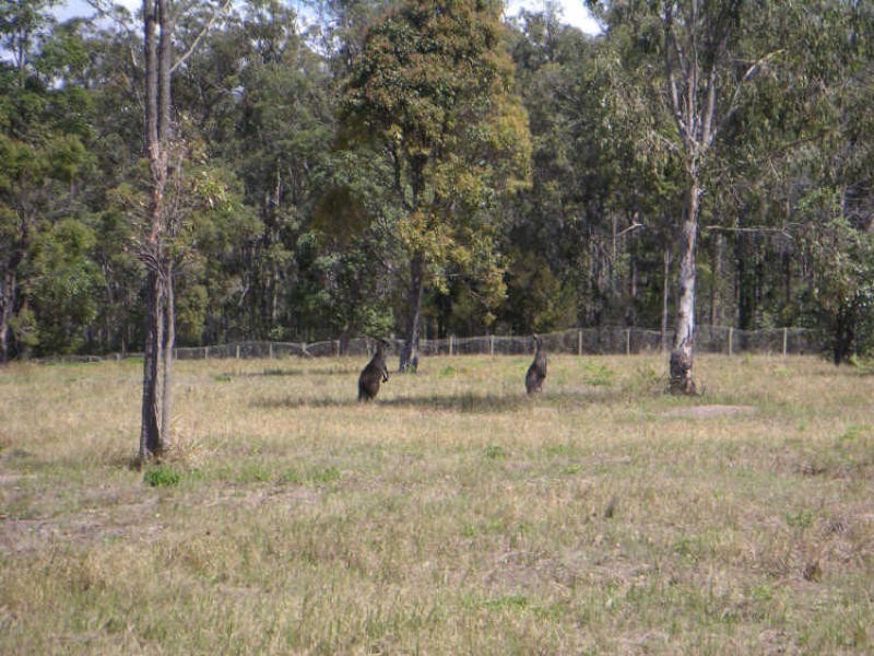 23-25 (Lot 43) Verdelho Drive, Morayfield QLD 4506