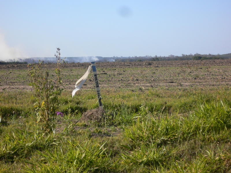 Donnybrook QLD 4510