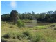 Wamuran QLD 4512