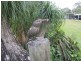 44-50 Williams Road, Caboolture QLD 4510