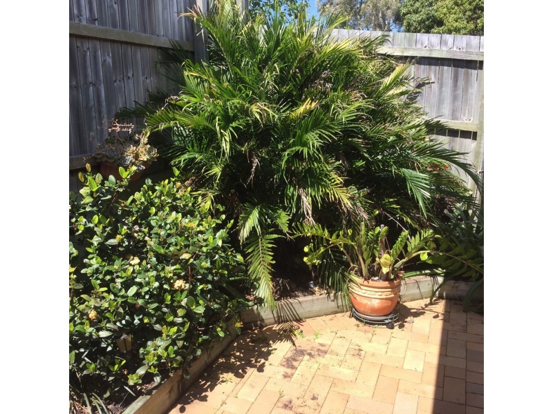 37A Henzell Street, Redcliffe QLD 4020