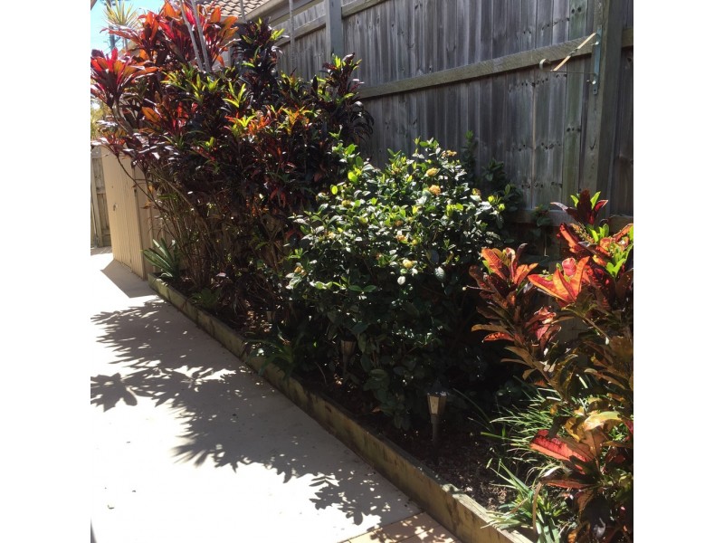 37A Henzell Street, Redcliffe QLD 4020