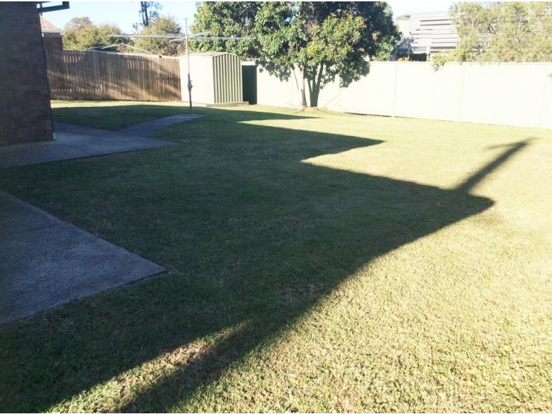 15 Trilby Street, Morayfield QLD 4506