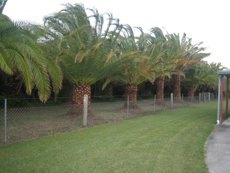 Beachmere QLD 4510