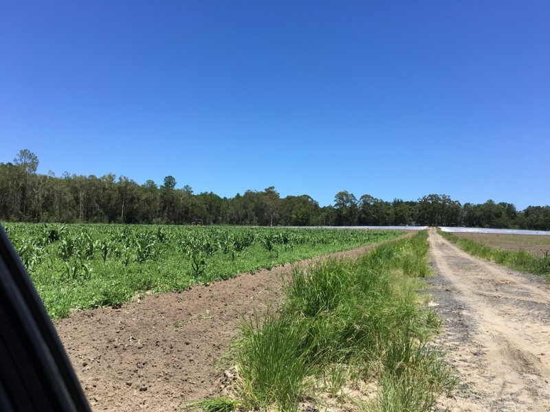 Caboolture QLD 4510