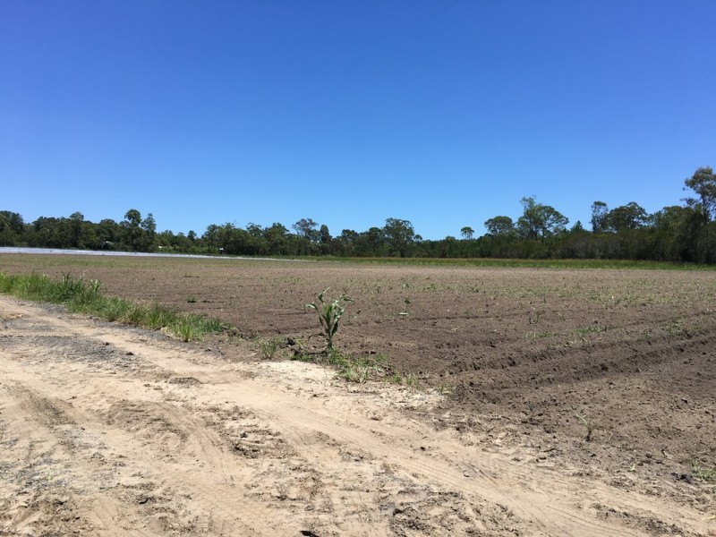 Caboolture QLD 4510