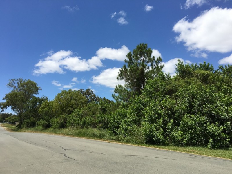 Caboolture QLD 4510