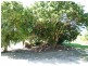 Elimbah QLD 4516