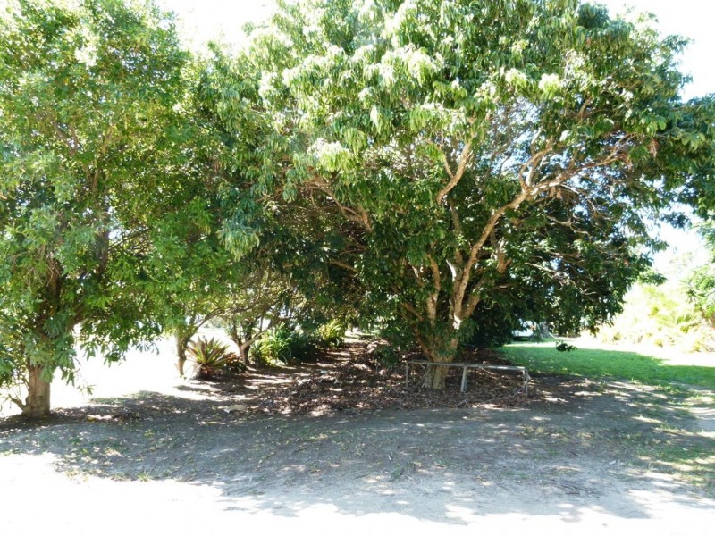Elimbah QLD 4516