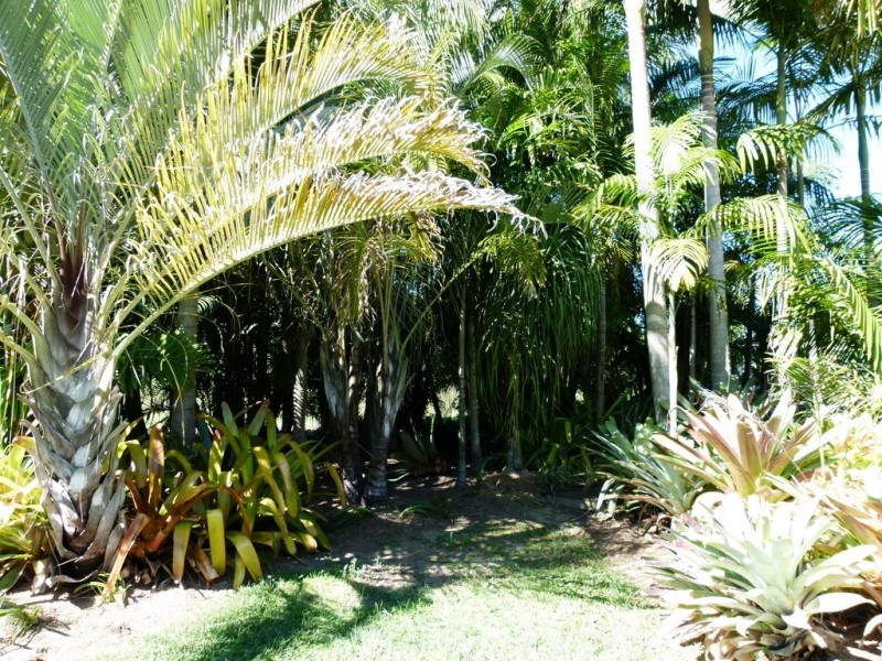 Elimbah QLD 4516
