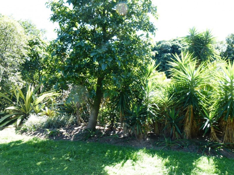 Elimbah QLD 4516