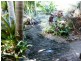 Elimbah QLD 4516