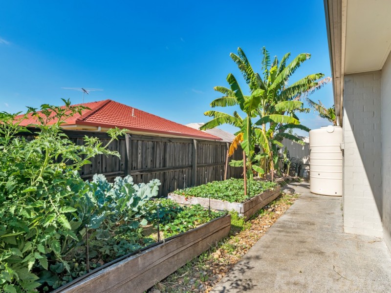 36 Piccadilly St, Bellmere QLD 4510