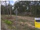320 Newlands Road, Wamuran QLD 4512