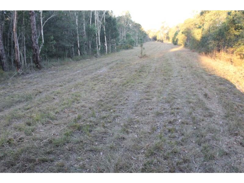 320 Newlands Road, Wamuran QLD 4512