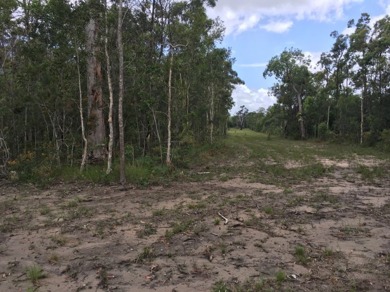 320 Newlands Road, Wamuran QLD 4512