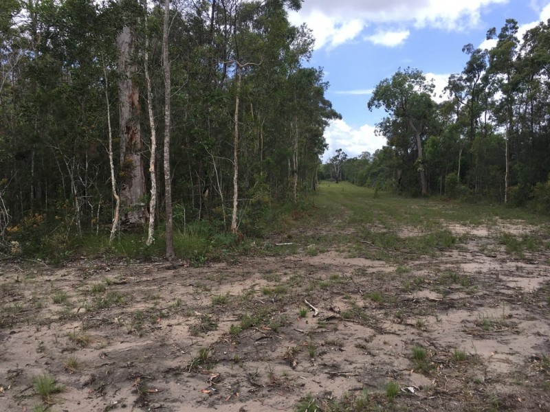 320 Newlands Road, Wamuran QLD 4512