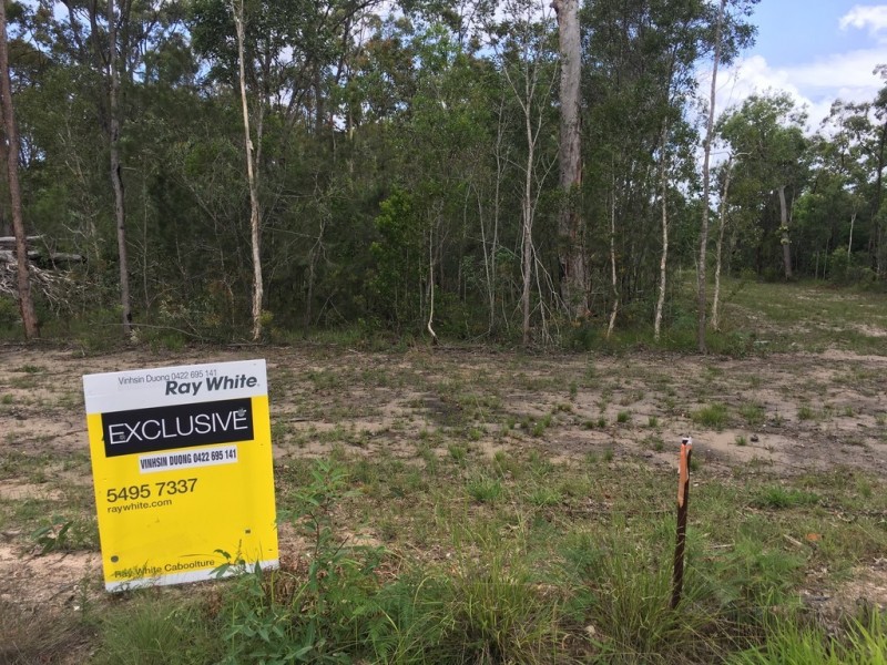 320 Newlands Road, Wamuran QLD 4512