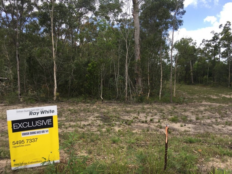 320 Newlands Road, Wamuran QLD 4512