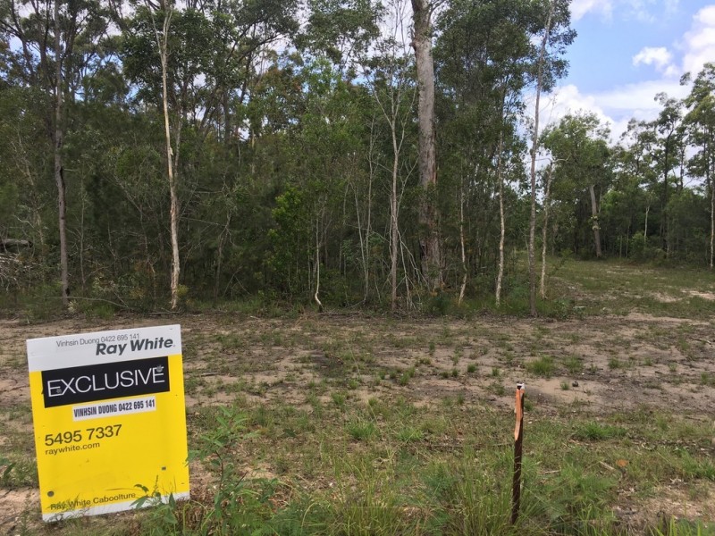 320 Newlands Road, Wamuran QLD 4512