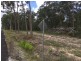 320 Newlands Road, Wamuran QLD 4512