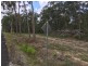 320 Newlands Road, Wamuran QLD 4512