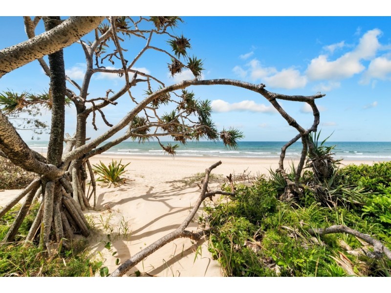 5 Wilson Avenue, Dicky Beach QLD 4551