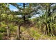 5 Wilson Avenue, Dicky Beach QLD 4551