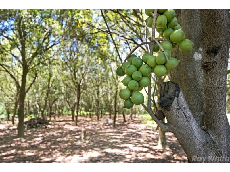 125 Fullertons Road, Glass House Mountains QLD 4518