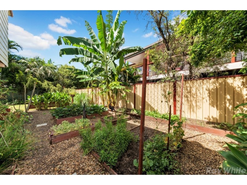 8 Winter Street, Caboolture QLD 4510