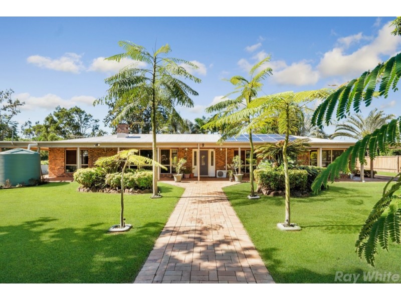 55 Bristlebird Drive, Morayfield QLD 4506