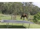 276-278 Forest Hills Drive, Morayfield QLD 4506