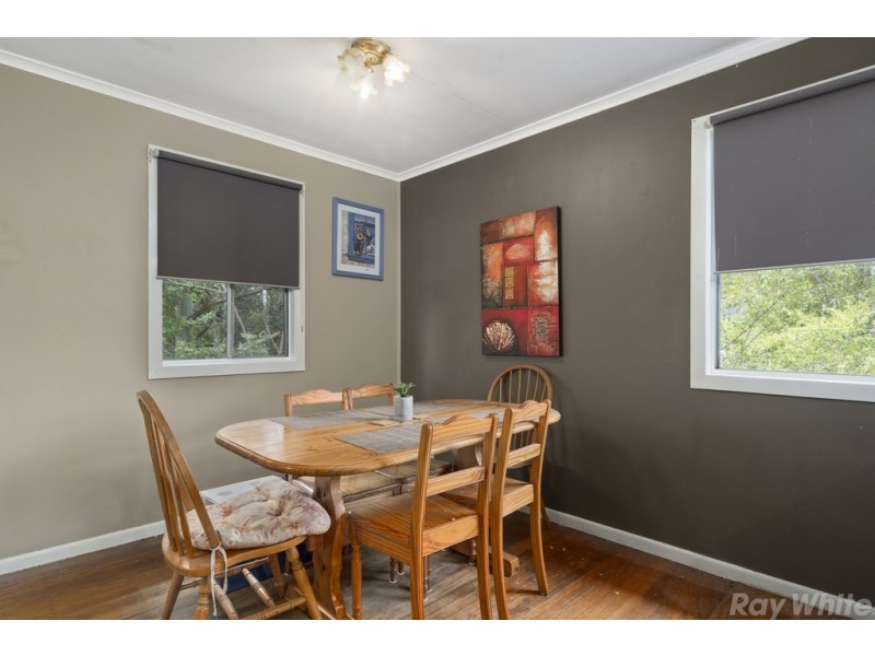 11 Blue Gum Terrace, Caboolture South QLD 4510