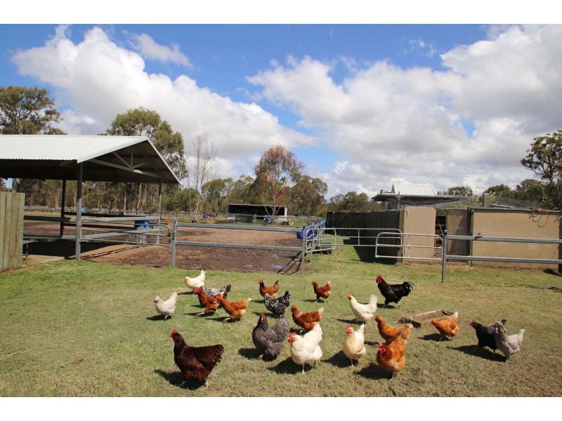 88 Priests Road, Deception Bay QLD 4508